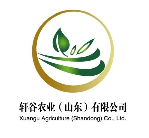 ܎r(nng)I(y)ɽ|޹˾ XUANGU AGRICULTURE SHANDONG CO., LTD.