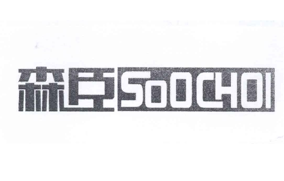 ɭ SOOCHOI