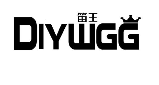 DIYWGG+