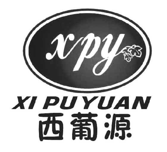 ����Դ XPY