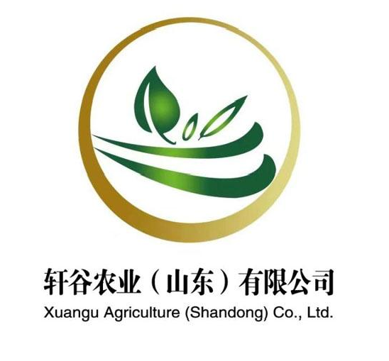 ܎r(nng)I(y)ɽ|޹˾ XUANGU AGRICULTURE SHANDONG CO., LTD.